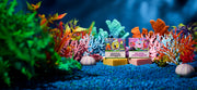 SpongeBob 4-Pack Q9