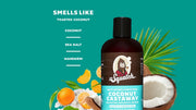 Coconut Castaway Conditioner V0