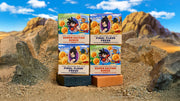 Dragon Ball Z 4-Pack Z9