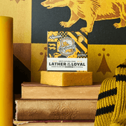 Harry Potter Collection H2