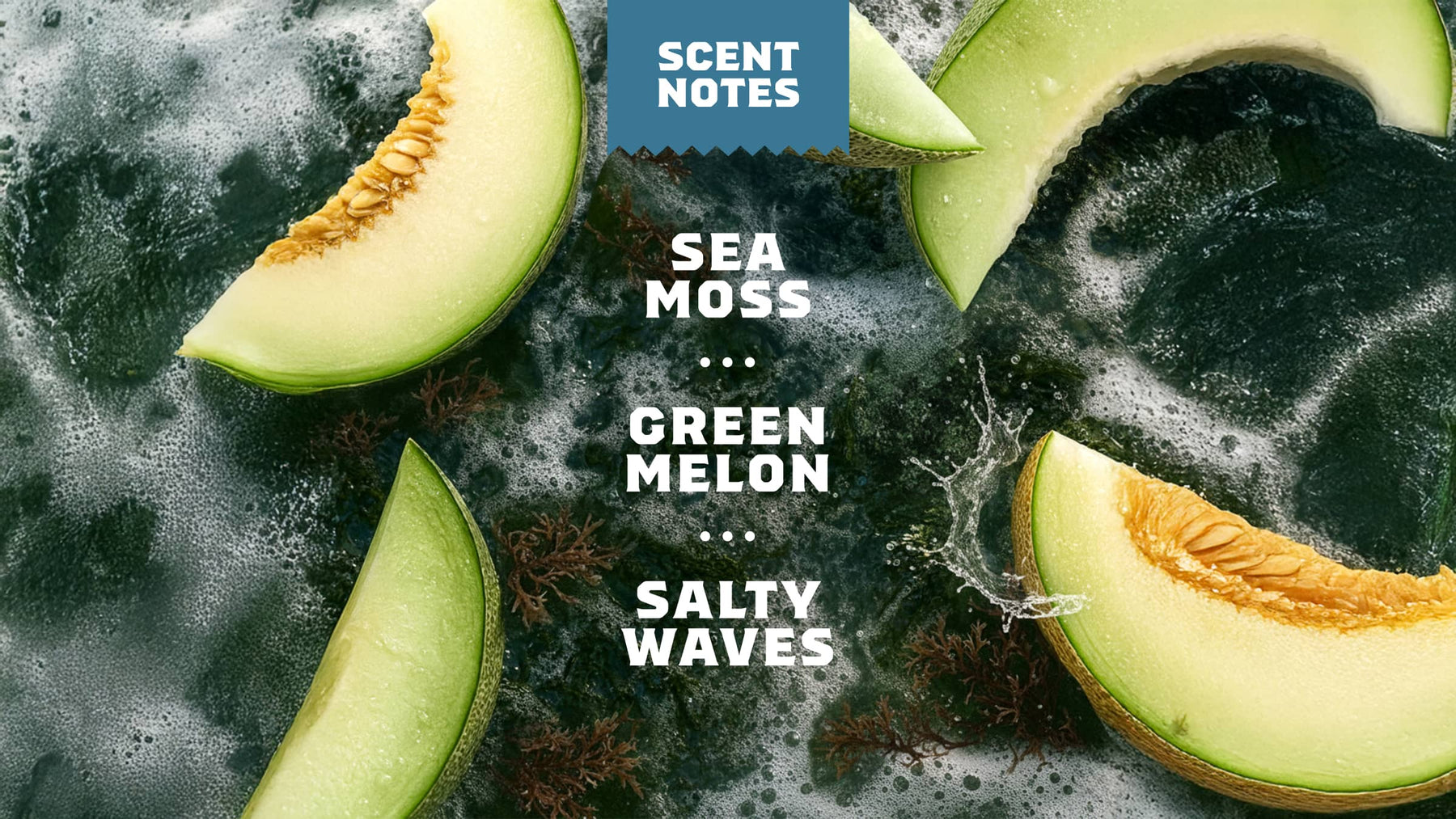 Coastal Mist Hand Soap Y2