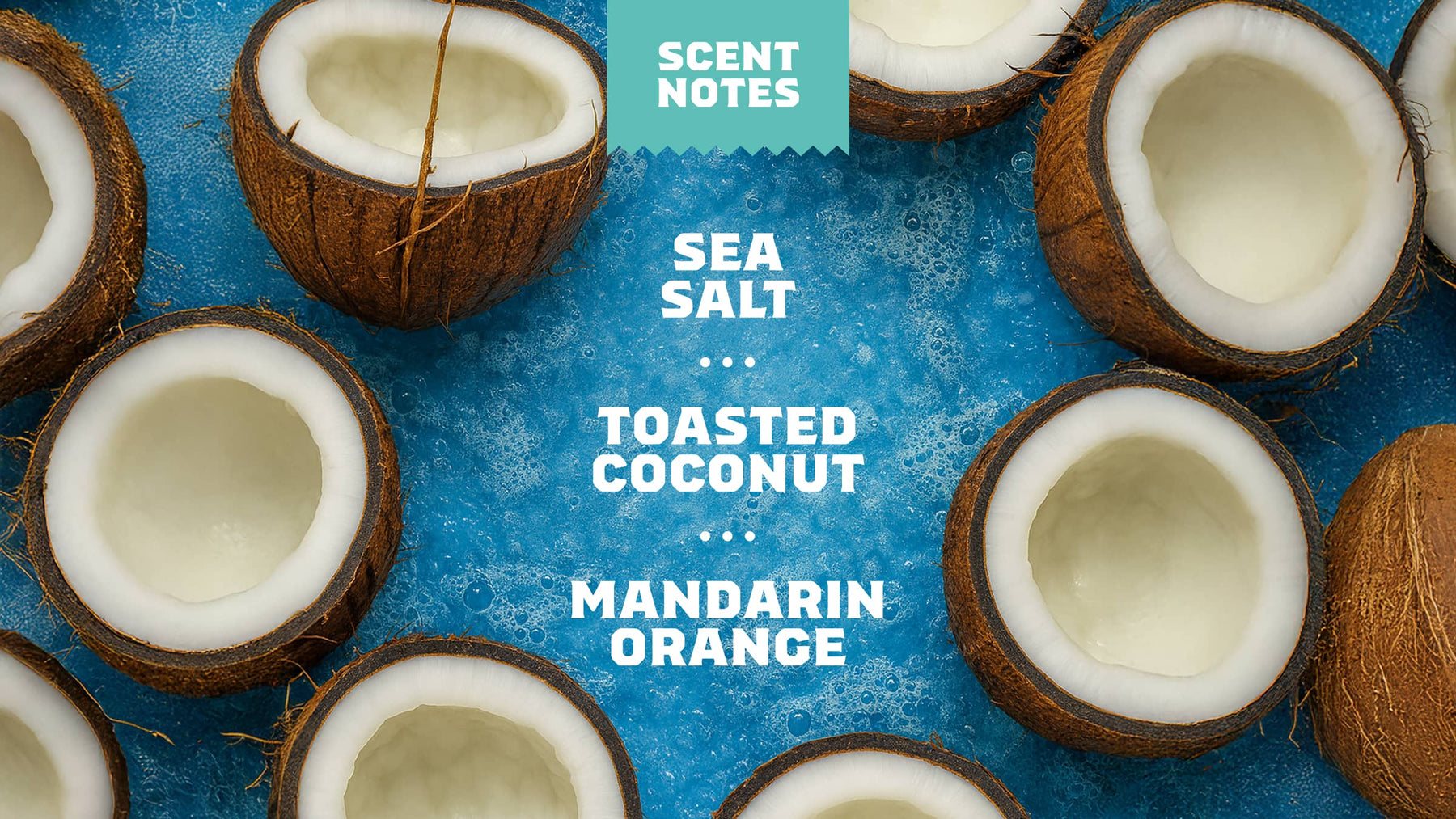 Coconut Castaway Hand Soap F5