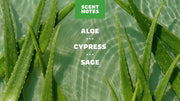 Cool Fresh Aloe Lotion Z6