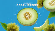 Coastal Mist Hand Soap Y2
