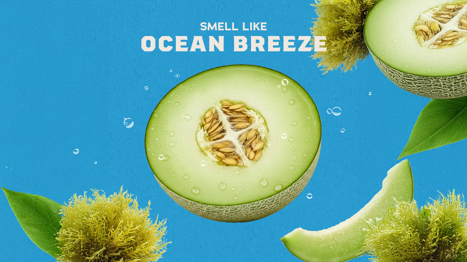 Coastal Mist Hand Soap Y2