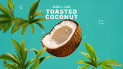 Coconut Castaway Lotion K3