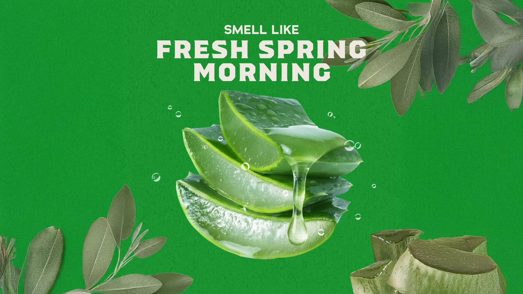 Cool Fresh Aloe Conditioner M2