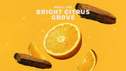 Summer Citrus Hand Soap R9
