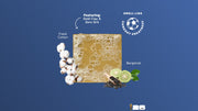 FIFA Golden Glory 3-Pack Bar Soap Bundle H3